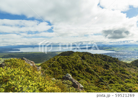 ニュージーランド　タウポ　タウハラ山頂から見えるタウポの街とタウポ湖 59521269