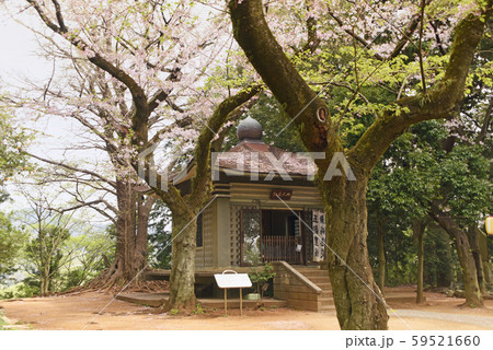 弘法山公園 釈迦堂 弘法山公園 釈迦堂 59521660