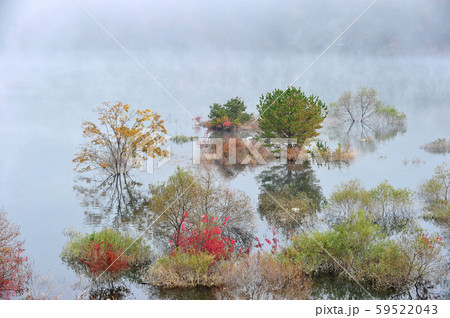 湖 風景 朝 59522043