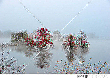 湖 風景 朝 59522046