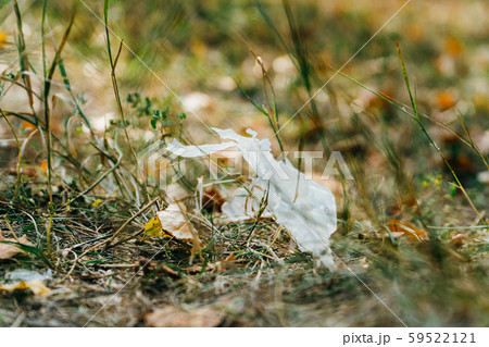 plastic bag in grass. Ecology problem. Summer plastic bag in grass. Ecology problem. Summer 59522121