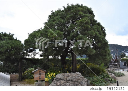 熱海温泉 お宮の松 熱海温泉 お宮の松 59522122