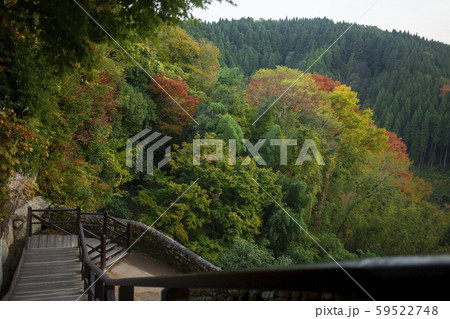 岡城跡の紅葉 59522748