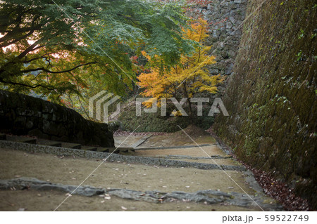 岡城跡の紅葉 59522749