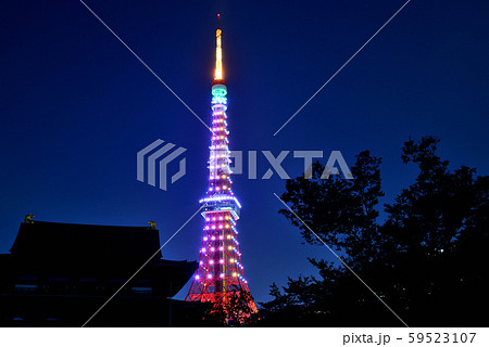 東京タワー夜景・インフィニティ・ダイヤモンドヴェール 増上寺 東京タワー夜景・インフィニティ・ダイヤモンドヴェール 増上寺 59523107