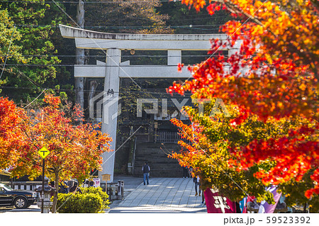 長野県　諏訪大社上社本宮 59523392