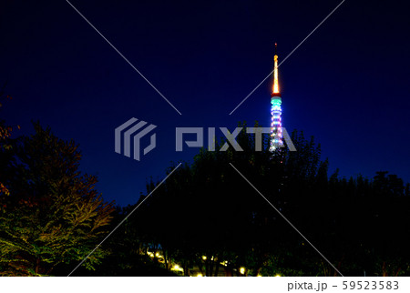 東京タワー特別ライトアップ夜景・インフィニティ・ダイヤモンドヴェール 東京タワー特別ライトアップ夜景・インフィニティ・ダイヤモンドヴェール 59523583