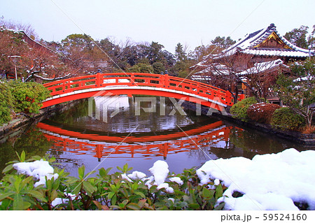 神泉苑（京都市中京区）の冬景色 59524160