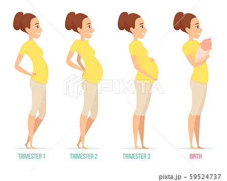 Pregnancy stages. Happy mom with newborn child female pregnancy trimesters vector characters Pregnancy stages. Happy mom with newborn child female pregnancy trimesters vector characters 59524737