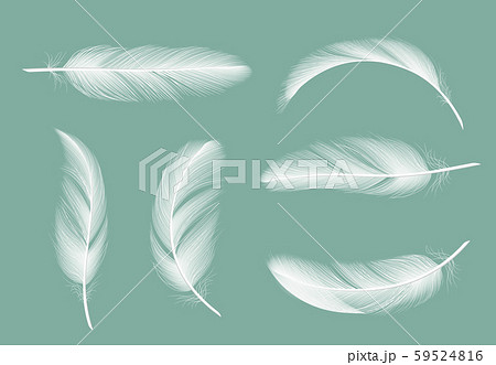 Feathers collection. Flying furry of goose vector realistic pictures isolated on transparent 59524816