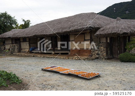 忠南 牙山市 ウェアム民俗村 59525170