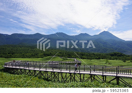 北海道 知床五湖の高架木道と知床連山 北海道 知床五湖の高架木道と知床連山 59525365