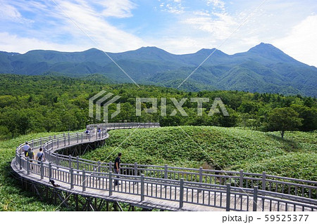 北海道 知床五湖の高架木道と知床連山 北海道 知床五湖の高架木道と知床連山 59525377