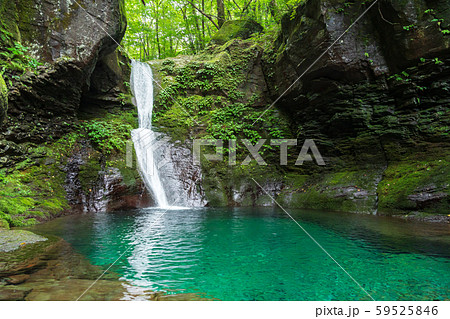 栃木県矢板市 おしらじの滝 (8月) 栃木県矢板市 おしらじの滝 (8月) 59525846