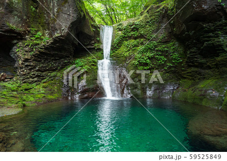 栃木県矢板市　おしらじの滝　（8月） 59525849