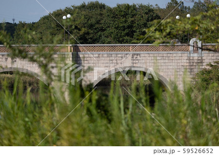 牧の原公園横断橋 千葉県印西市牧之原 牧の原公園横断橋 千葉県印西市牧之原 59526652