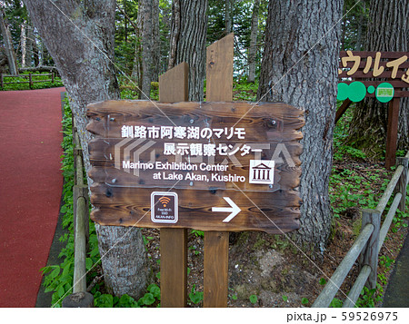 阿寒湖 忠類島 マリモ観察センター看板 阿寒湖 忠類島 マリモ観察センター看板 59526975