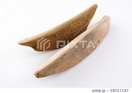 鰹枯本節 鰹枯本節 59527197