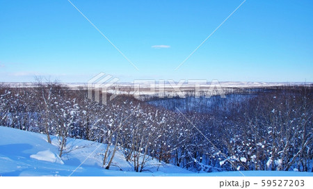 冬の釧路湿原 59527203