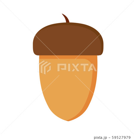 Oak nut brown squirrel food macro acorn vector. Oak nut brown squirrel food macro acorn vector. 59527979