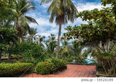 古都フエのリゾート ベトナム 59528199