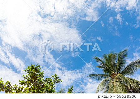 南国のイメージ 青空素材 59528500