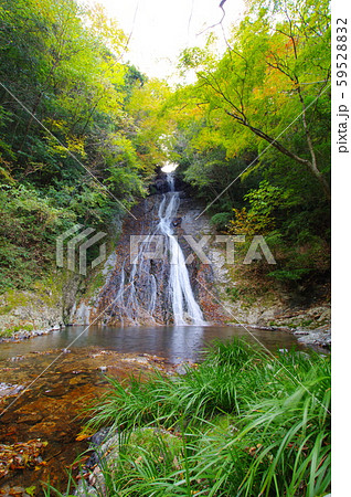 常光寺の滝 2019-11-10紅葉色づき始め　宮崎県高千穂町岩戸 59528832