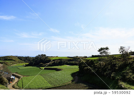 三浦半島（畑編） 59530092
