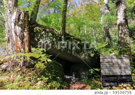 【青森県】奥入瀬渓流の石ケ戸 59530756