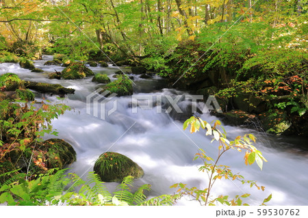 【青森県】石ケ戸付近の奥入瀬渓流 59530762