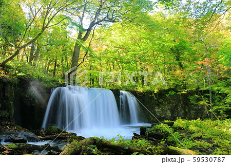 【青森県】奥入瀬渓流の銚子大滝 59530787