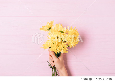 Female hand holding bunch of fresh yellow flowers Female hand holding bunch of fresh yellow flowers 59531740