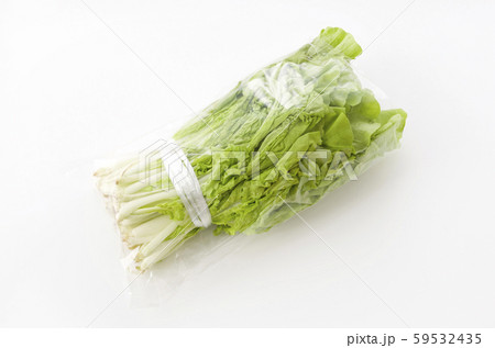 山東菜 袋入り 59532435