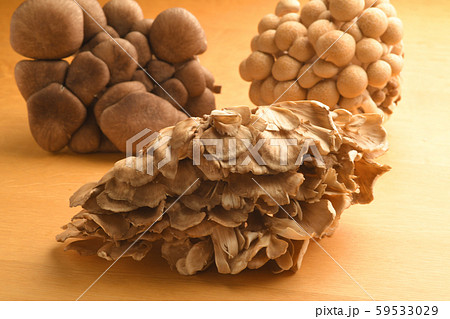 3種のきのこ しめじ 舞茸 霜降り平茸 3種のきのこ しめじ 舞茸 霜降り平茸 59533029