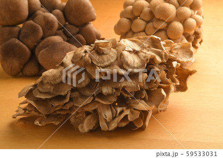 3種のきのこ しめじ 舞茸 霜降り平茸 3種のきのこ しめじ 舞茸 霜降り平茸 59533031