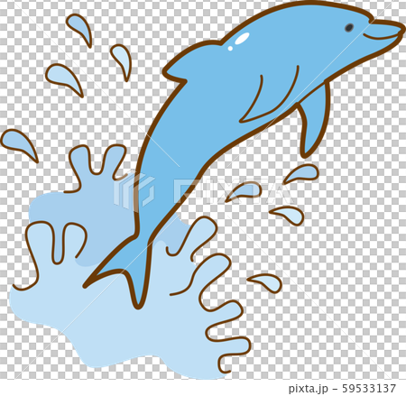 Dolphin Show Dolphin Aquarium Cute Flying Water Stock Illustration