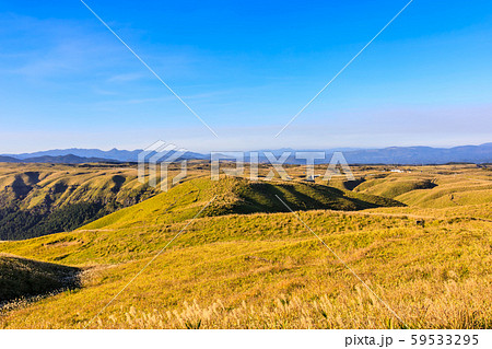 大観峰の秋景色・草紅葉　【熊本県阿蘇市】 59533295