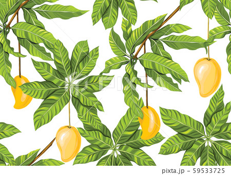 Seamless pattern, background with tropical plants Seamless pattern, background with tropical plants 59533725