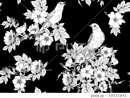 Dog-rose, briar, brier, eglantine, canker-rose.  59533843