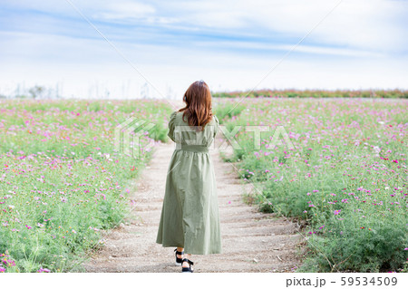 コスモス畑 女性 若い コスモス畑 女性 若い 59534509