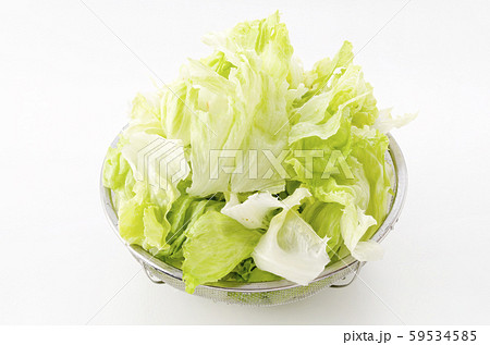ちぎったレタス 59534585