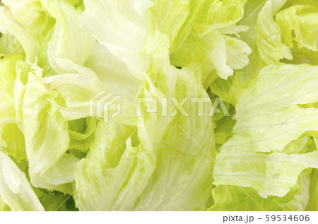 ちぎったレタス アップ 59534606