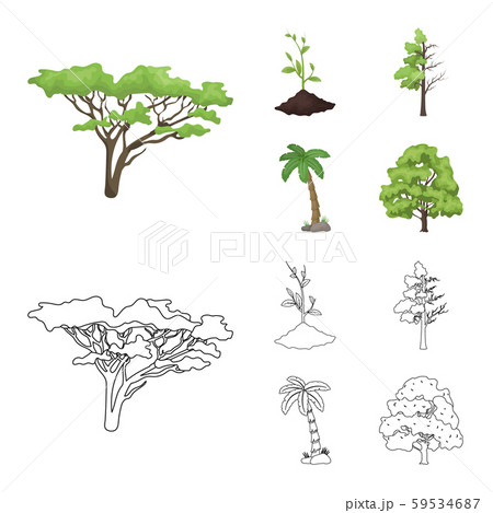 Vector design of tree and forest sign. Collection of tree and green vector icon for stock. Vector design of tree and forest sign. Collection of tree and green vector icon for stock. 59534687