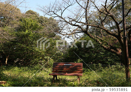 三ツ池公園の丘のうえのベンチで休憩 59535891