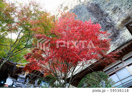 岩屋寺 59536118