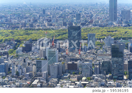 東京風景　2019　春　新緑　青空　六本木から望む原宿方面 59536195