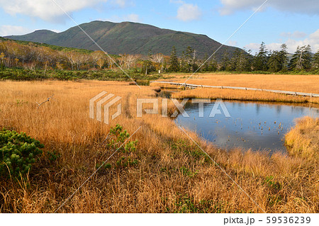 秋の池塘 59536239