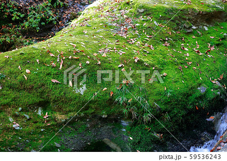 古岩屋 古岩屋 59536243