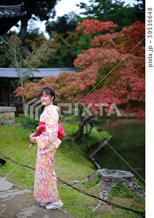 京都観光 59536648