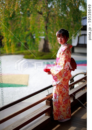 京都観光 59536649